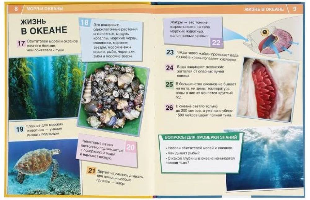 Encyclopedia of 365 Facts - Seas and Oceans