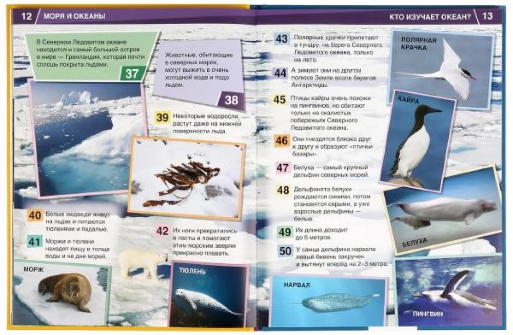 Encyclopedia of 365 Facts - Seas and Oceans