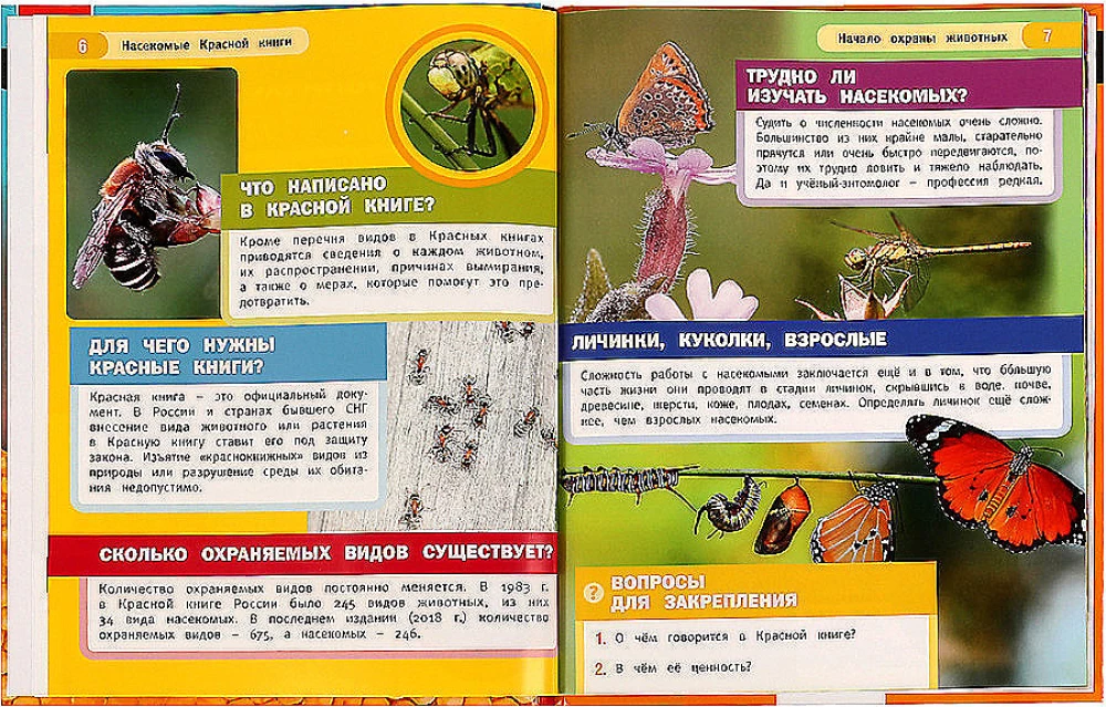 Энциклопедия с развивающими заданиями - Насекомые Красной книги