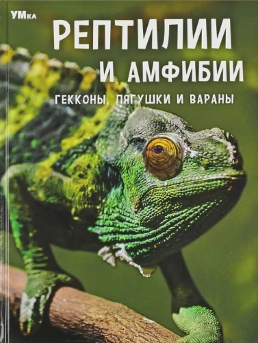 Рептилии и амфибии. Гекконы, лягушки и вараны