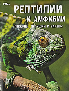 Рептилии и амфибии. Гекконы, лягушки и вараны