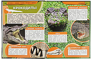 Рептилии и амфибии. Гекконы, лягушки и вараны