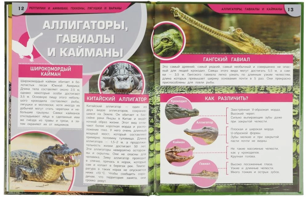 Рептилии и амфибии. Гекконы, лягушки и вараны