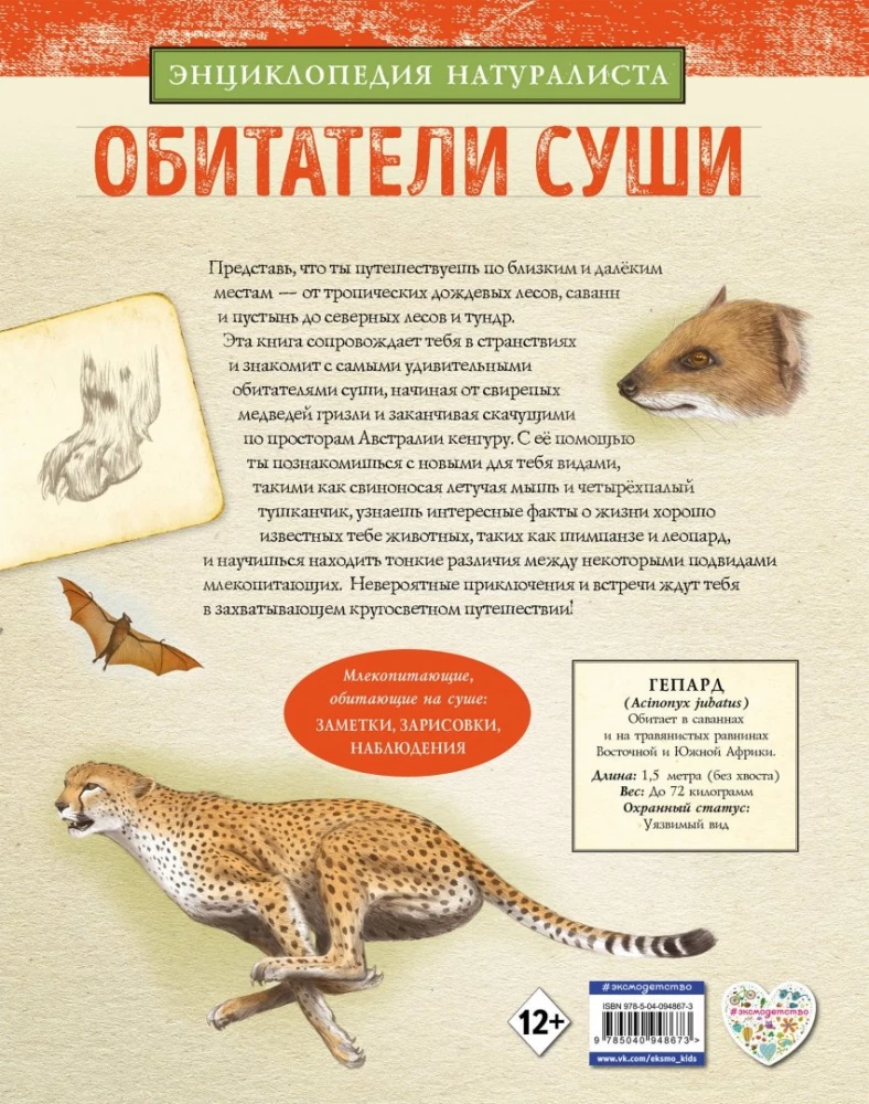 Обитатели суши