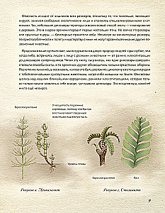 Юрский период. Динозавры и другие доисторические животные