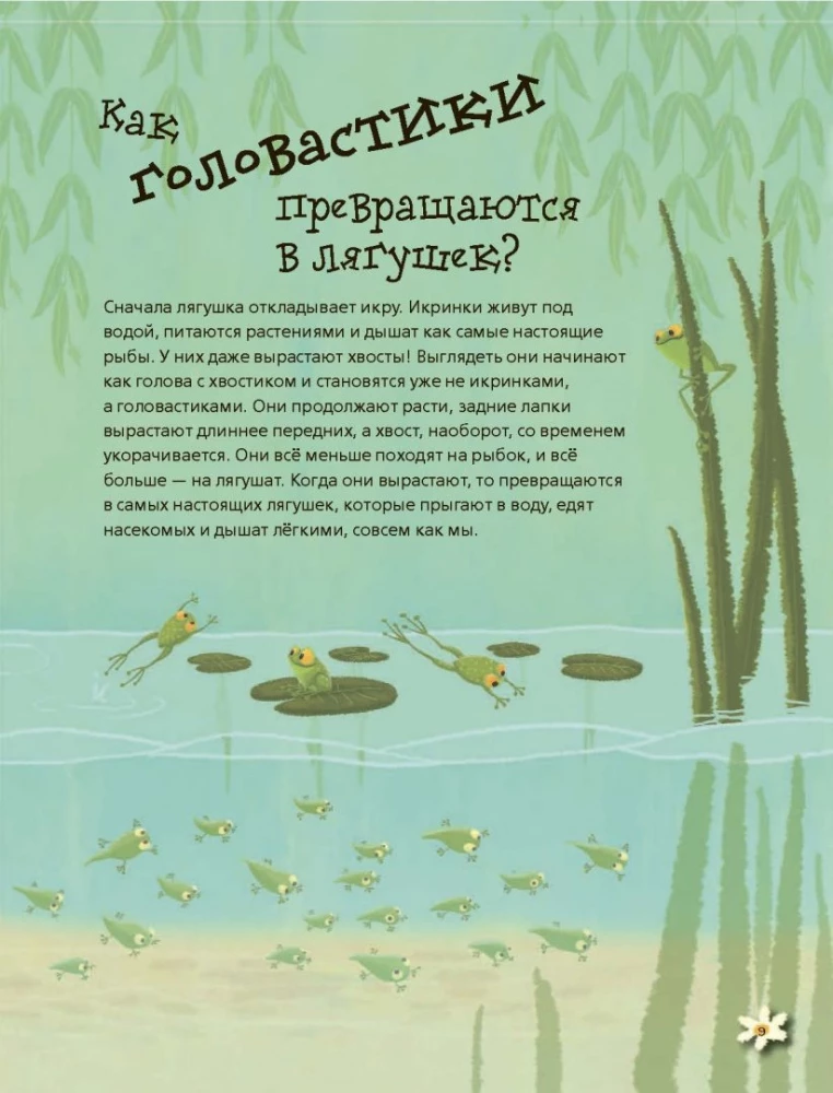 Живая природа в вопросах и ответах