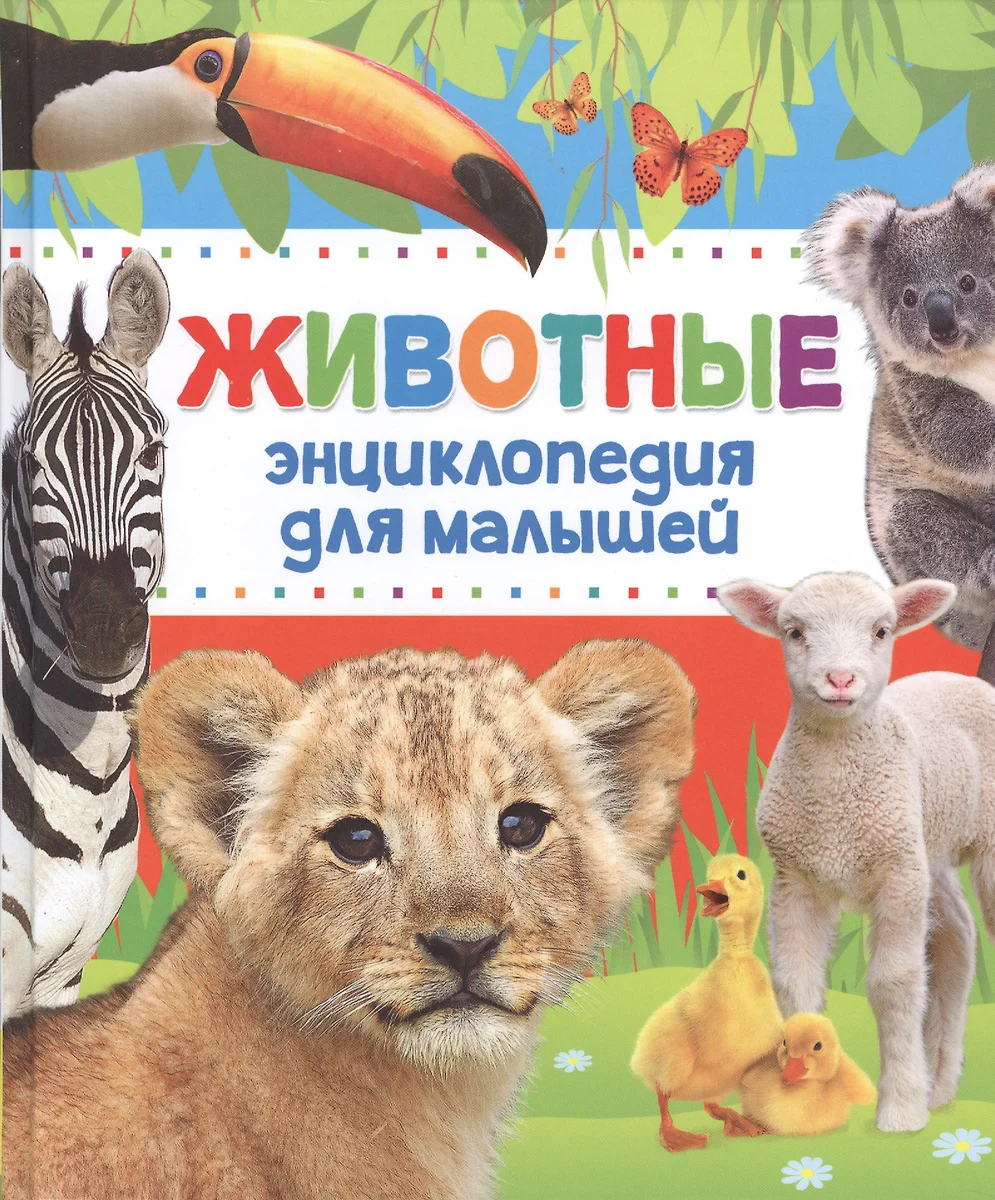 Encyklopedia zwierząt dla maluchów