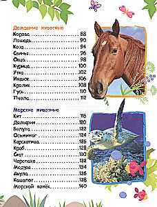 Энциклопедия животных для малышей