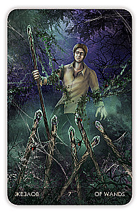 Tarot Cards - The Secret of the Vampire Castle (Gift Deck of Waite 78 Cards with Instruction)