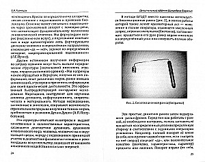 Healing Effect of the Pharaoh's Cylinders