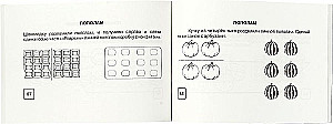 Matemātika. Pirmie soļi