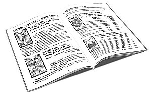 Divination Cards - Tarot of the Black Forces by Vera Sklyarova (114 cards with instructions)