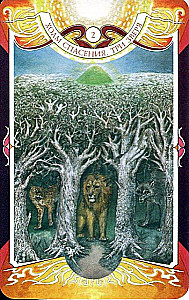 Divination Cards - Tarot of the Black Forces by Vera Sklyarova (114 cards with instructions)