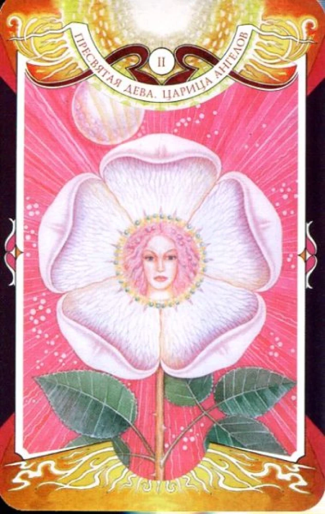 Divination Cards - Tarot of the Black Forces by Vera Sklyarova (114 cards with instructions)