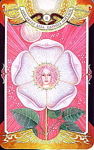 Divination Cards - Tarot of the Black Forces by Vera Sklyarova (114 cards with instructions)