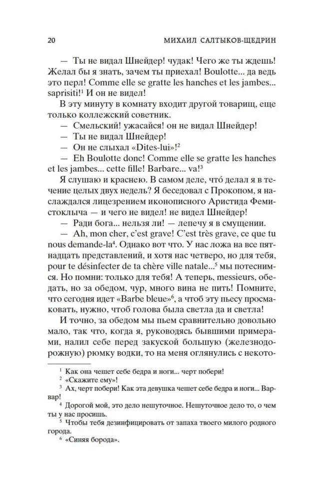 The Diary of a Provincial in St. Petersburg