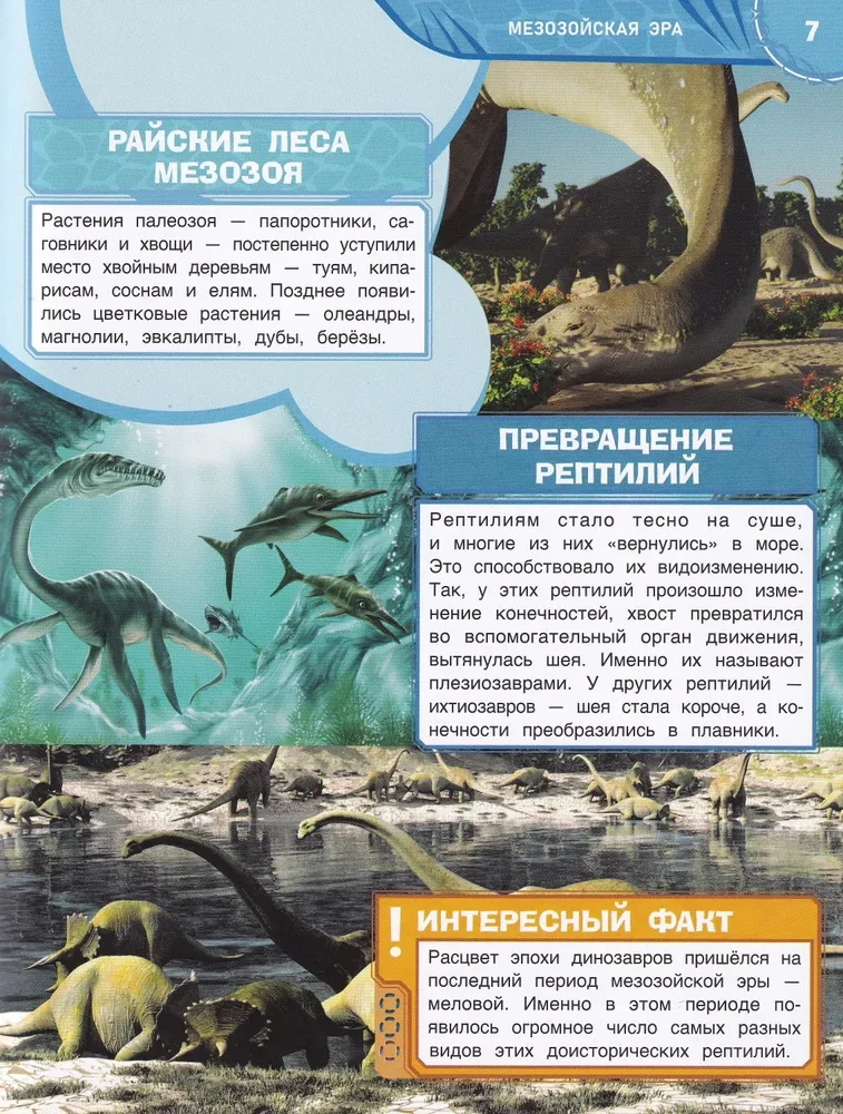 Транспорт. Книжка с наклейками