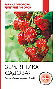 Truskawka ogrodowa. Wszystko o ulubionych owocach od A do Z