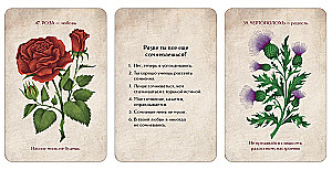 Flower Divination Cards. Flirting with Flowers (60 cards)