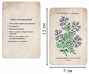 Flower Divination Cards. Flirting with Flowers (60 cards)