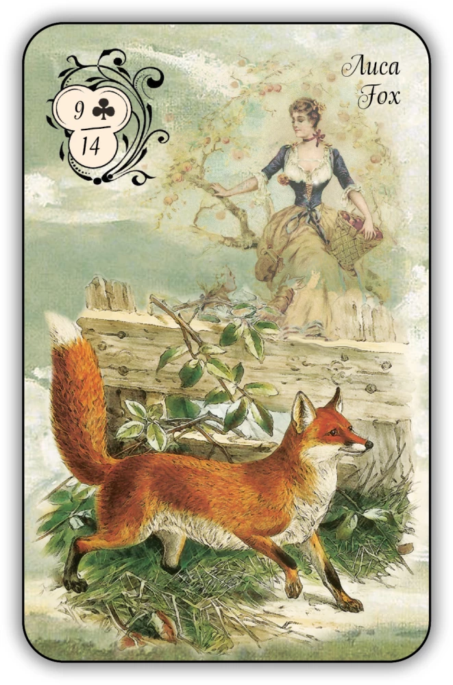 Fortune-Telling Cards - Dubarry Oracle (42 cards with instructions)