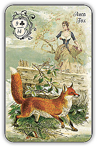 Fortune-Telling Cards - Dubarry Oracle (42 cards with instructions)