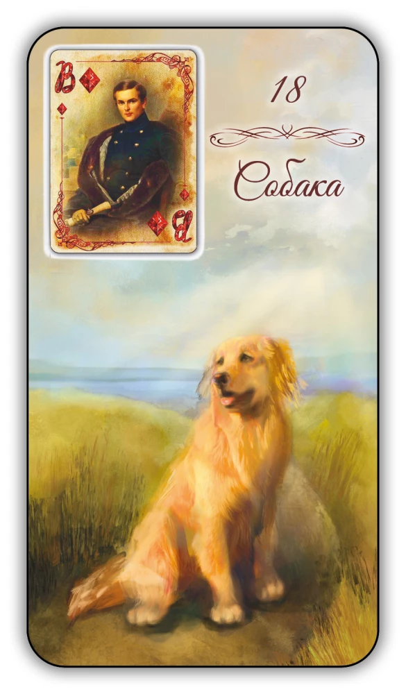 Divination Cards - Lenormand Oracle. Provence (64 cards with instruction)