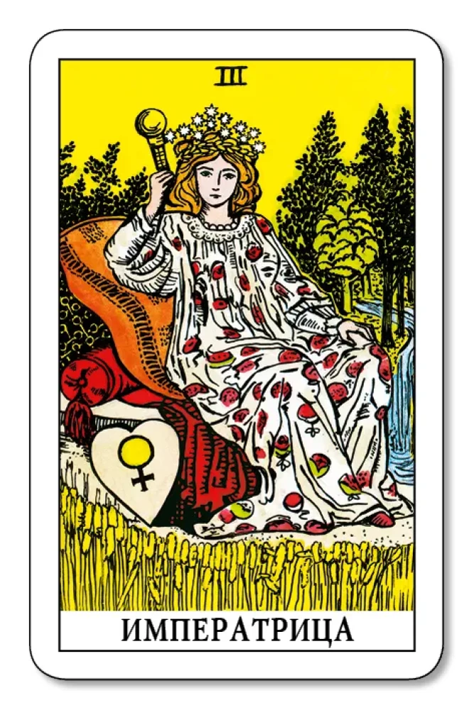 Tarot for Beginners with a Book