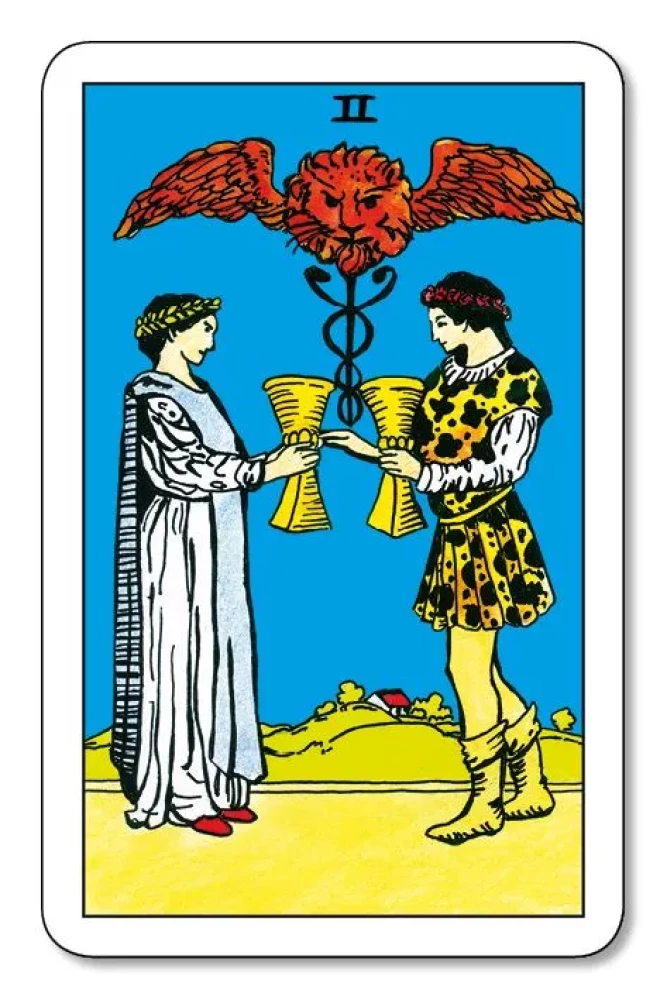 Tarot for Beginners with a Book