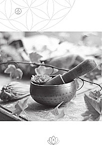 Healing. Practical Tools. Civilization of Hamiliya
