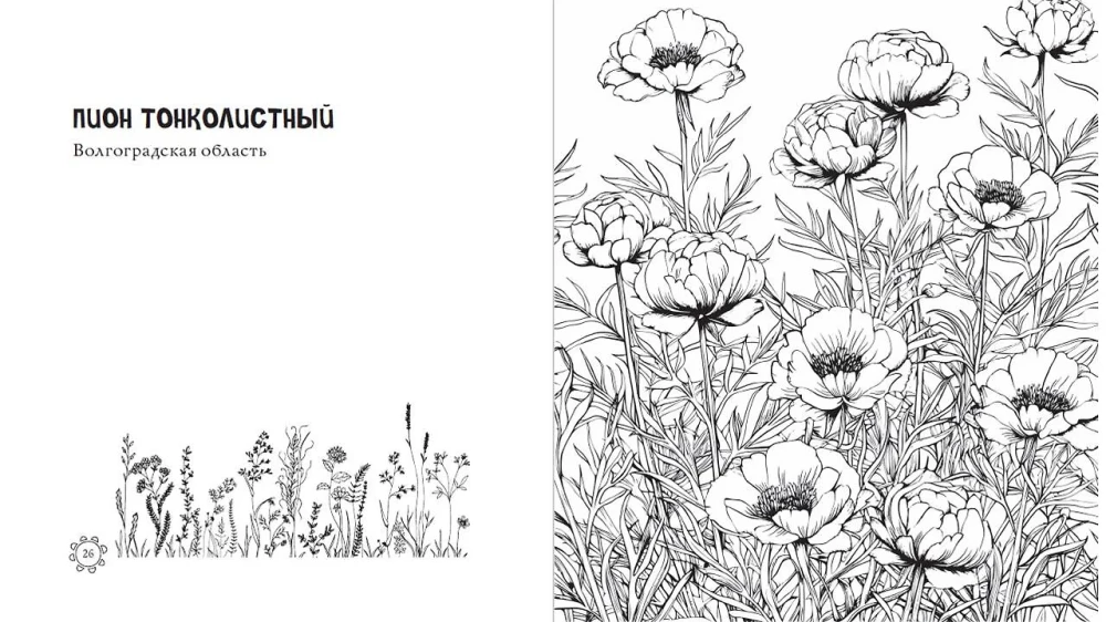 The Enchanting Colors of Russia. Pages of Tenderness and Beauty