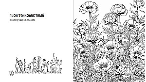 The Enchanting Colors of Russia. Pages of Tenderness and Beauty