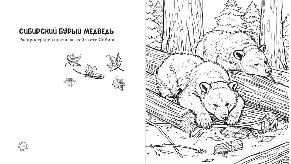 The Enchanting Colors of Russia. Pages of Tenderness and Beauty