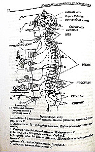 Kundalini: The Energy of Enlightenment
