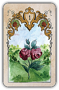 Divination Cards - Swedenborg Oracle (deck of 36 cards with instructions)