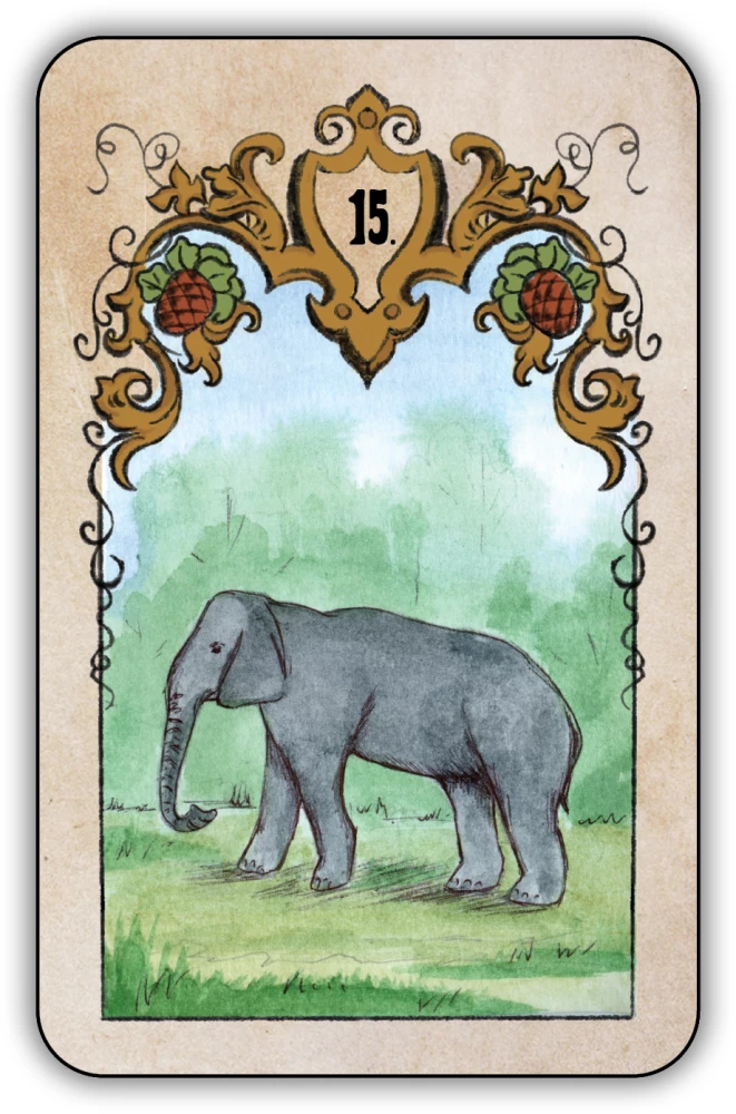 Divination Cards - Swedenborg Oracle (deck of 36 cards with instructions)
