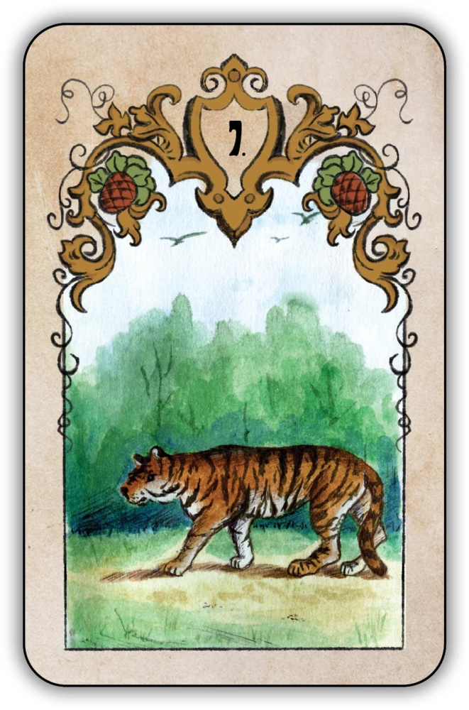 Divination Cards - Swedenborg Oracle (deck of 36 cards with instructions)