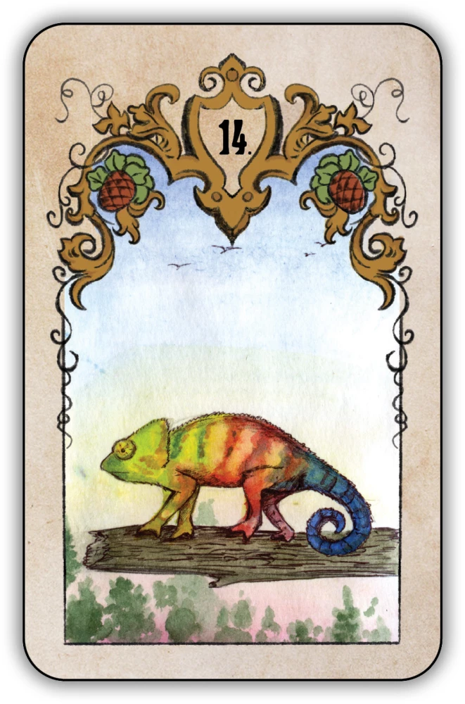Divination Cards - Swedenborg Oracle (deck of 36 cards with instructions)