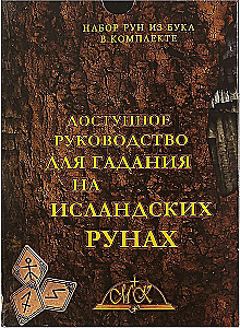 Accessible Guide to Divination with Icelandic Runes
