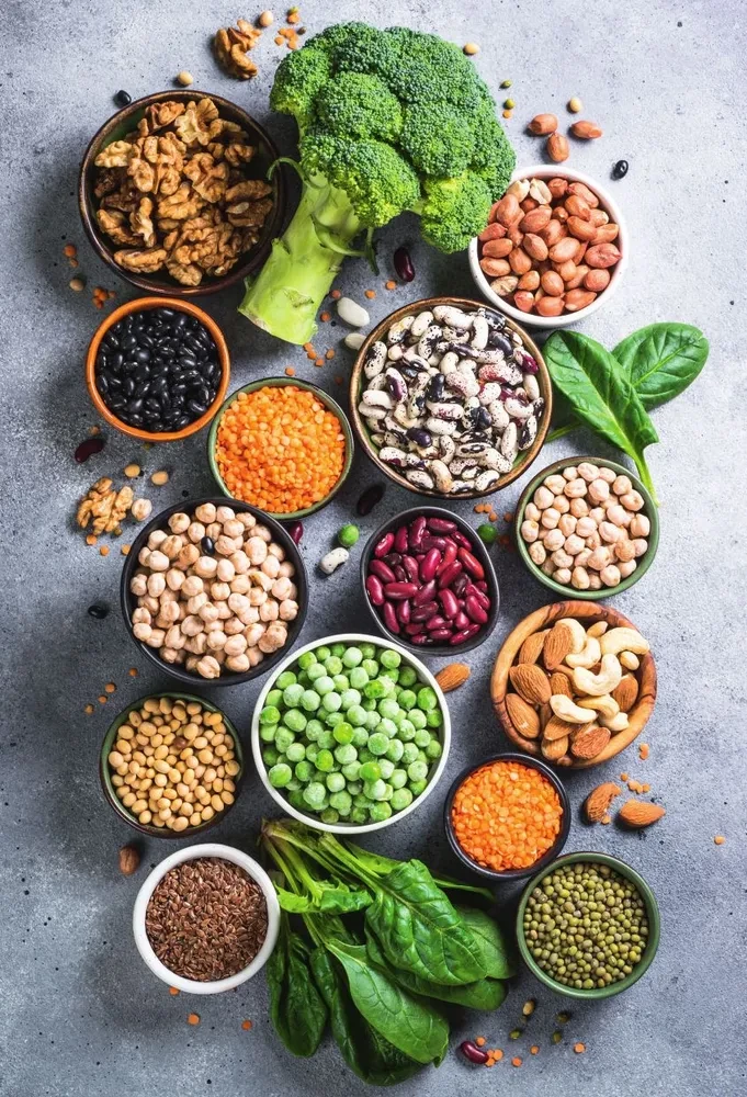 Recipes for a Resourceful, Quality, and Healthy Life. Civilization of Khamilia