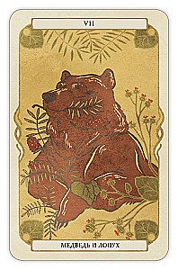 Divination Cards - Oracle Forest Guardians (deck of 36 cards with instructions)