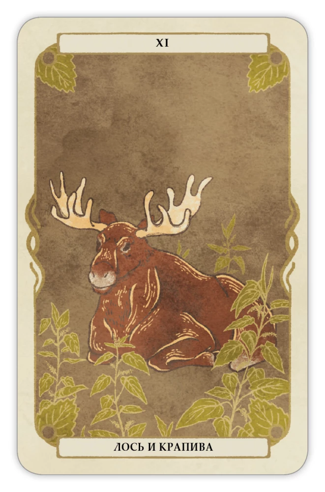 Divination Cards - Oracle Forest Guardians (deck of 36 cards with instructions)
