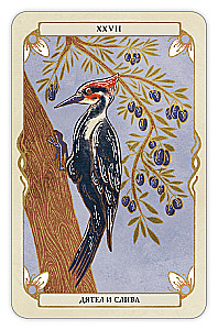 Divination Cards - Oracle Forest Guardians (deck of 36 cards with instructions)