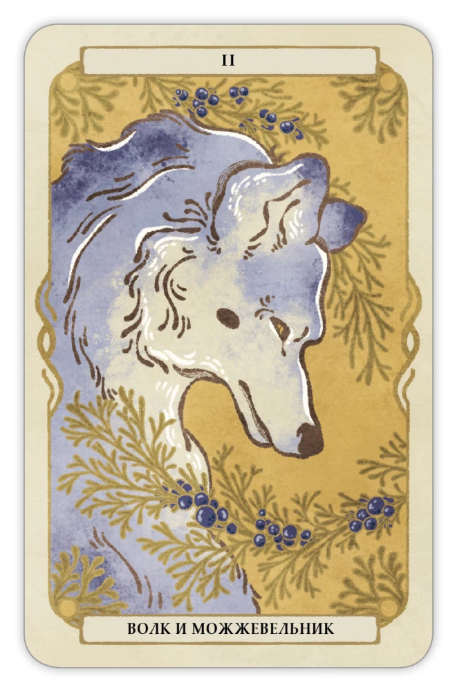 Divination Cards - Oracle Forest Guardians (deck of 36 cards with instructions)