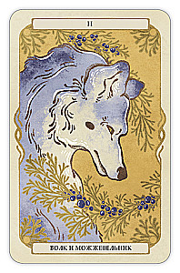 Divination Cards - Oracle Forest Guardians (deck of 36 cards with instructions)