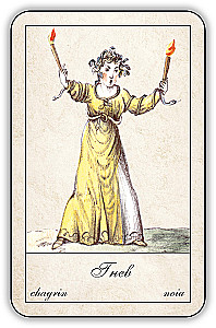 Fortune-Telling Cards - Gypsy Oracle with Instructions (52 cards)