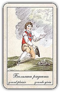 Fortune-Telling Cards - Gypsy Oracle with Instructions (52 cards)