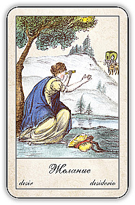 Fortune-Telling Cards - Gypsy Oracle with Instructions (52 cards)