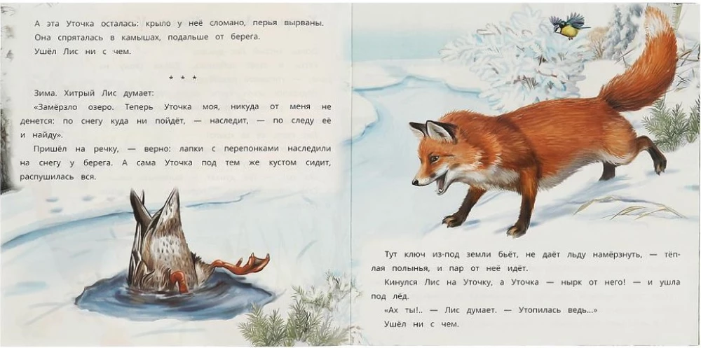 The Cunning Fox and the Smart Duck