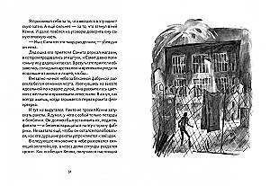Die Lerche, der Rabe, der Hecht, der Dachs - Serie Brüder. Set aus 4 Büchern